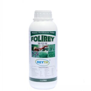 Folirey 30-12-10