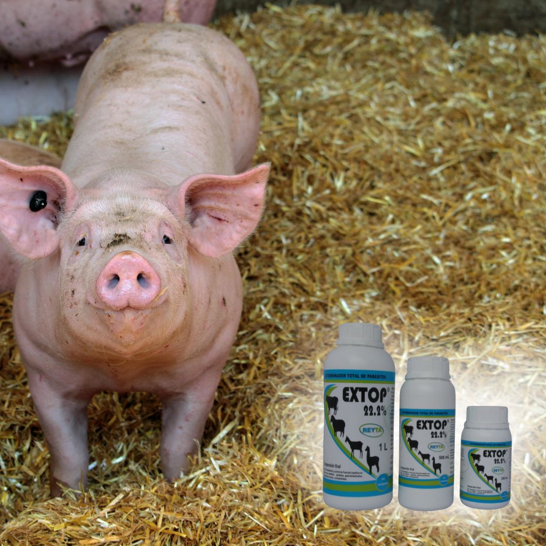 Extop 22.2% - Imagen 5