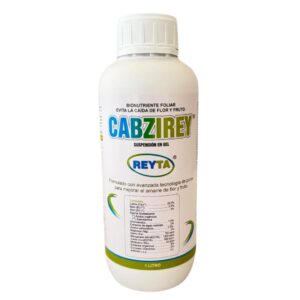 CABZIREY: Máximo Amarre Floral y Frutos Firmes y Uniformes
