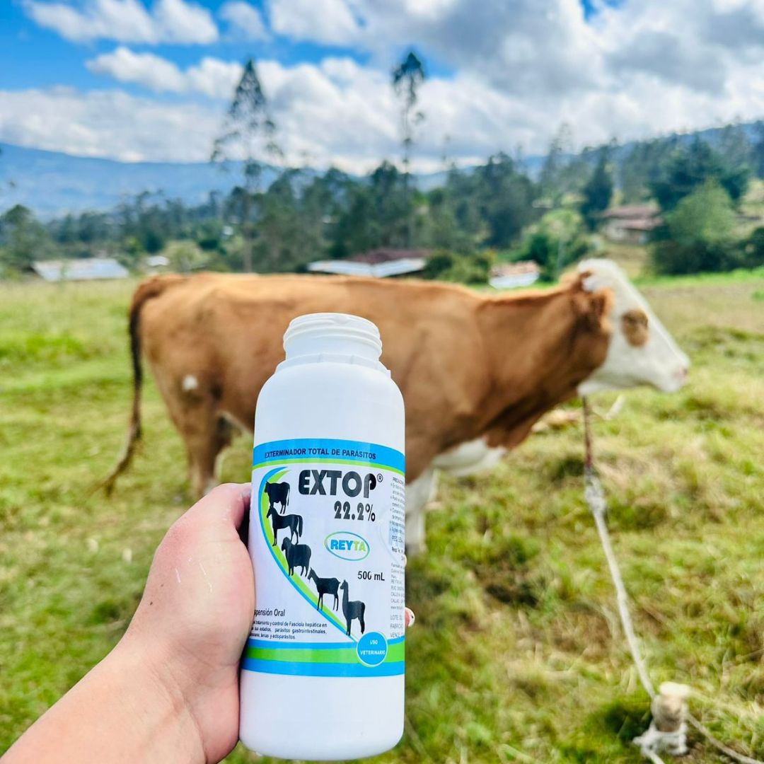 EXTOP 22.2% - Imagen 2